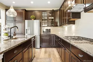 9274 Viaggio Way, Highlands Ranch, CO 80126 - Photo 6