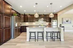 9274 Viaggio Way, Highlands Ranch, CO 80126 - Photo 4