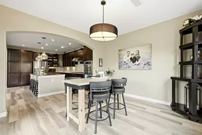 9274 Viaggio Way, Highlands Ranch, CO 80126 - Photo 8