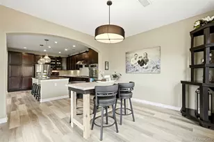 9274 Viaggio Way, Highlands Ranch, CO 80126 - Photo 8