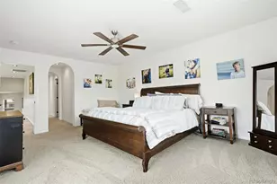 9274 Viaggio Way, Highlands Ranch, CO 80126 - Photo 16