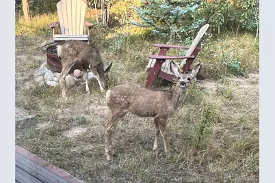 113 Gcr 4948, Grand Lake, CO 80447 - Photo 24