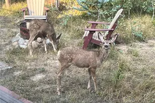 113 Gcr 4948, Grand Lake, CO 80447 - Photo 24