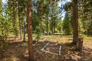 113 Gcr 4948, Grand Lake, CO 80447 - Photo 26