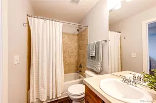 10634 Amesbury Way, Highlands Ranch, CO 80126 - Photo 30