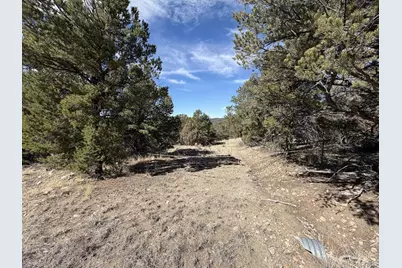 000 Redtail Trail, Texas Creek, CO 81223 - Photo 22