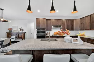 99 Simmental Loop, Castle Rock, CO 80104 - Photo 8