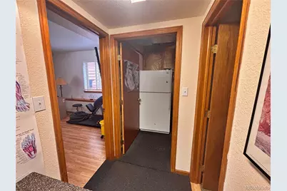 17 Silver Springs Road, Bailey, CO 80421 - Photo 26