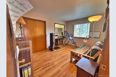 17 Silver Springs Road, Bailey, CO 80421 - Photo 16