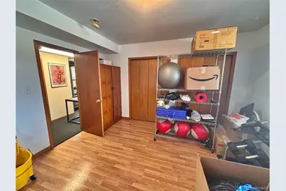 17 Silver Springs Road, Bailey, CO 80421 - Photo 28