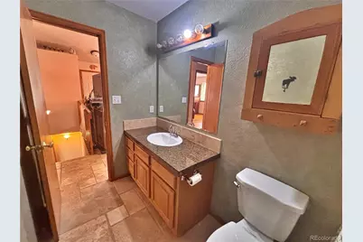 17 Silver Springs Road, Bailey, CO 80421 - Photo 14