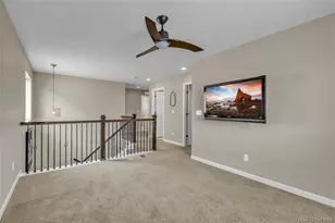 14041 Adams St, Thornton, CO 80602 - Photo 22