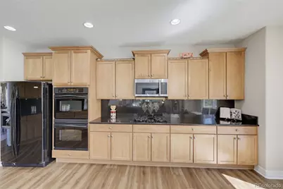 1610 Ridgetrail Court, Castle Rock, CO 80104 - Photo 14