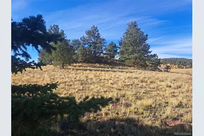 2151 County Road 403, Lake George, CO 80827 - Photo 2