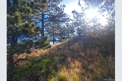 2151 County Road 403, Lake George, CO 80827 - Photo 18