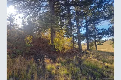 2151 County Road 403, Lake George, CO 80827 - Photo 12