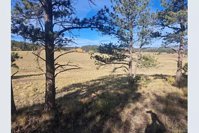 2151 County Road 403, Lake George, CO 80827 - Photo 22