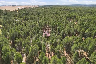 4724 Deer Trail, Elizabeth, CO 80107 - Photo 46