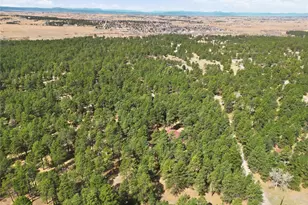 4724 Deer Trail, Elizabeth, CO 80107 - Photo 44