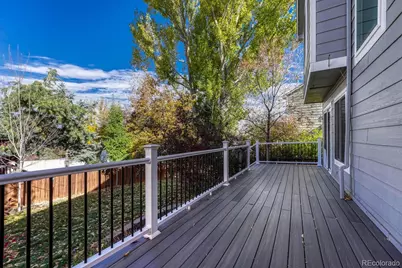 9329 Wolfe Street, Highlands Ranch, CO 80129 - Photo 38