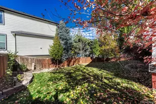 9329 Wolfe St, Highlands Ranch, CO 80129 - Photo 44