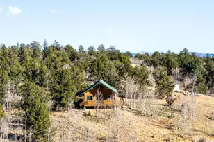 43 Pintail Wy, Como, CO 80432 - Photo 36