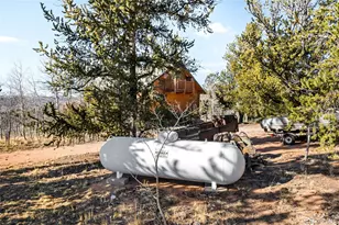 43 Pintail Wy, Como, CO 80432 - Photo 32