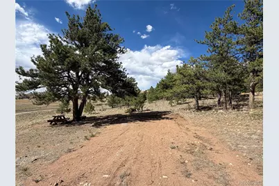 830 Cohonina Road, Hartsel, CO 80449 - Photo 4