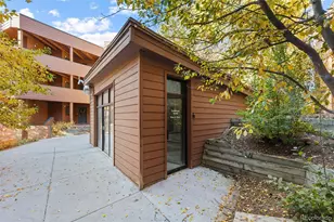 188 E La Bonte Street, Dillon, CO 80435 - Photo 36