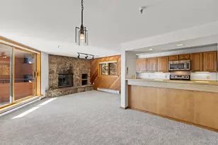 188 E La Bonte Street, Dillon, CO 80435 - Photo 14