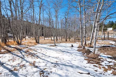 2222 County Road 72, Bailey, CO 80421 - Photo 46