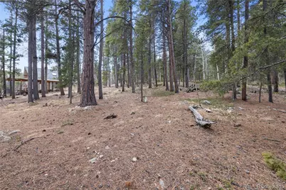 163 N Dory Lakes Drive, Black Hawk, CO 80422 - Photo 48