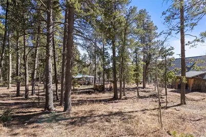 163 N Dory Lakes Drive, Black Hawk, CO 80422 - Photo 38