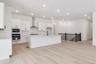 1668 Green Fern Pt, Castle Rock, CO 80104 - Photo 6