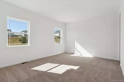 1668 Green Fern Point, Castle Rock, CO 80104 - Photo 10