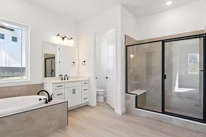 1668 Green Fern Point, Castle Rock, CO 80104 - Photo 10