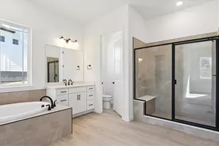 1668 Green Fern Pt, Castle Rock, CO 80104 - Photo 10