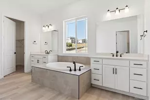 1668 Green Fern Pt, Castle Rock, CO 80104 - Photo 12