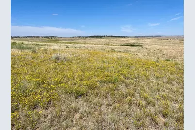 32041 Cattle Circle, Ramah, CO 80832 - Photo 10