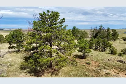 32041 Cattle Circle, Ramah, CO 80832 - Photo 6