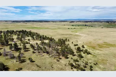 32041 Cattle Circle, Ramah, CO 80832 - Photo 8