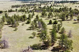 32041 Cattle Cir, Ramah, CO 80832 - Photo 1