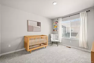 1353 Reynolds St, Fort Lupton, CO 80621 - Photo 26