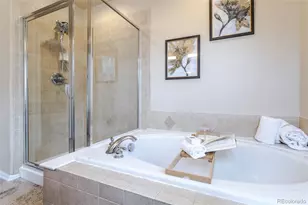 11055 Chesmore St, Littleton, CO 80130 - Photo 16