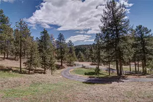 497 Woodside Dr, Pine, CO 80470 - Photo 42