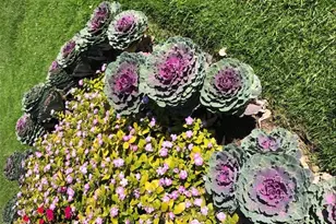 605 S Alton Way, Denver, CO 80247 - Photo 48