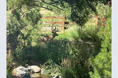 6735 S Catawba Way, Aurora, CO 80016 - Photo 34