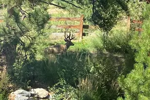 6735 S Catawba Way, Aurora, CO 80016 - Photo 34