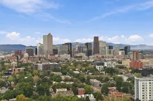 1660 Race St, Denver, CO 80206 - Photo 46