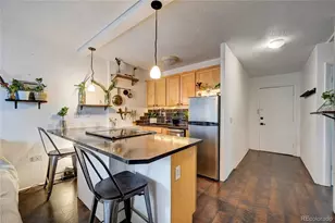 909 N Logan Street, Denver, CO 80203 - Photo 4
